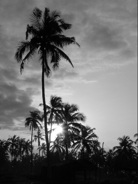 J20 plage Seme002