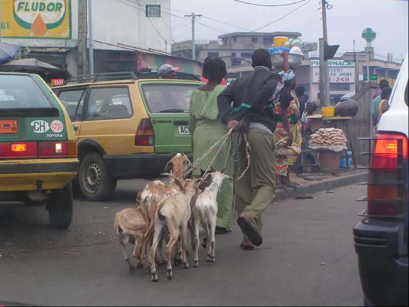 J21 Cotonou012