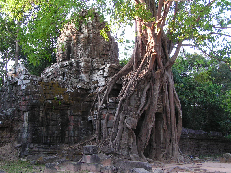 angkor 14