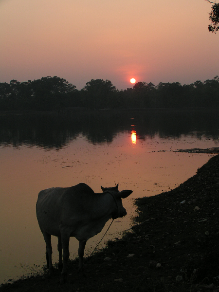 angkor 17