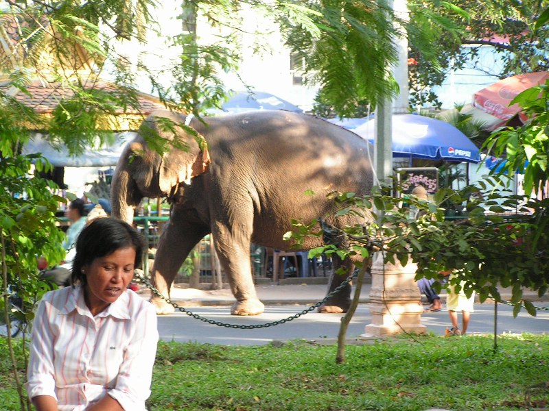 phnom penh 10
