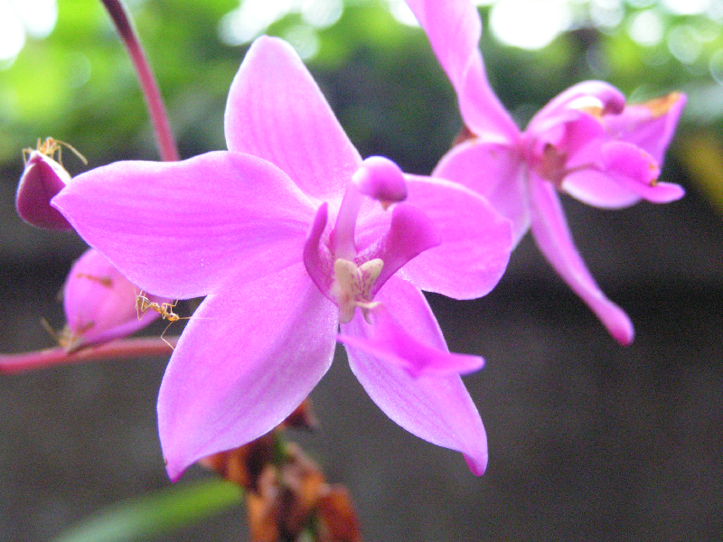 pict0039