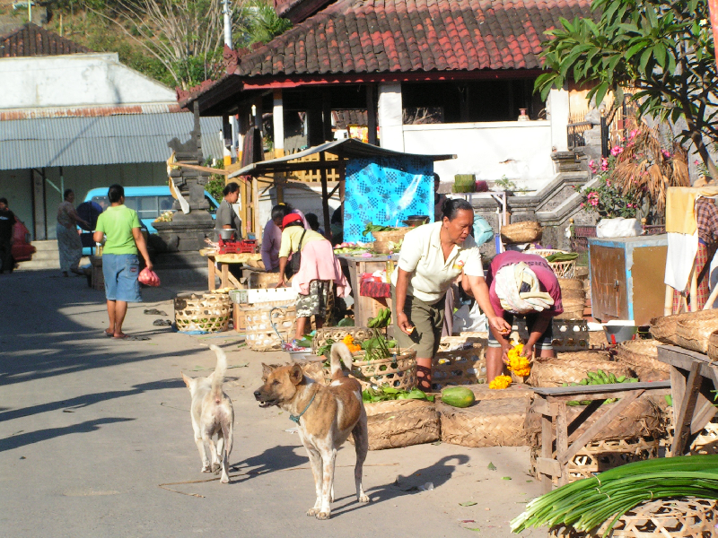 pict0118