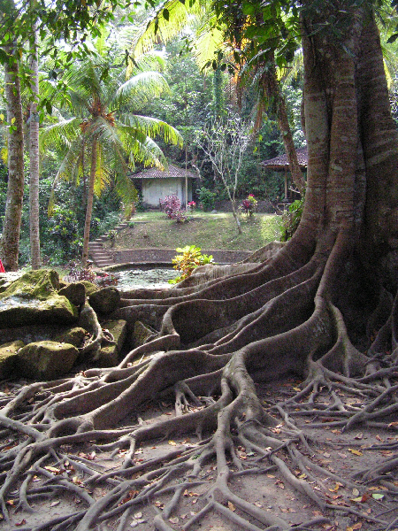 pict0131