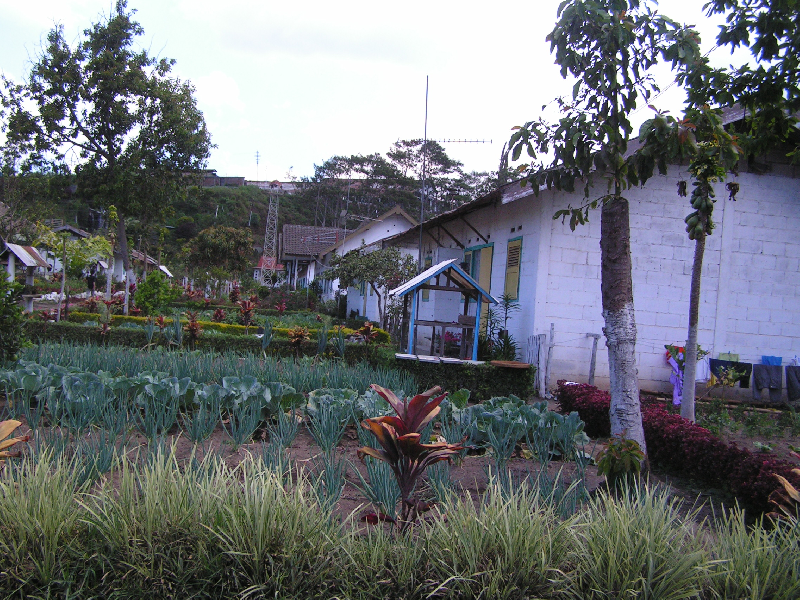 pict0396