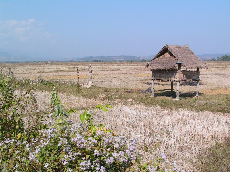 luang nam tha 05