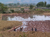 luang nam tha 04