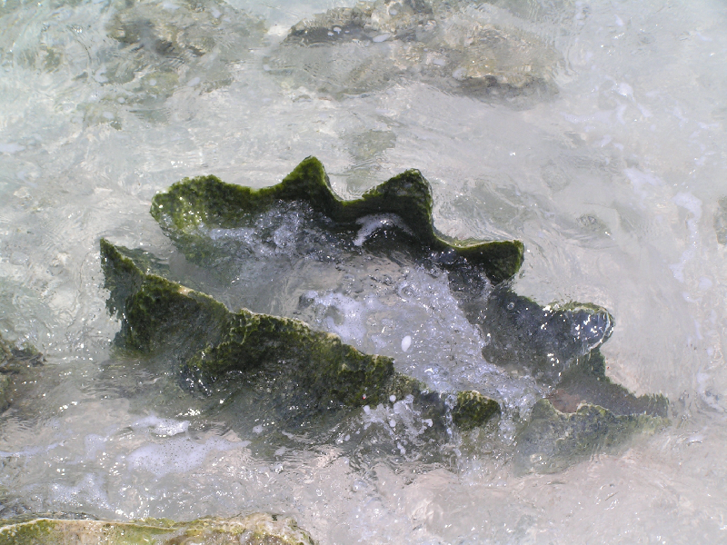 pict0014