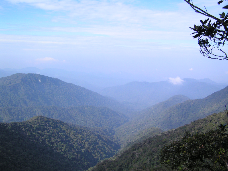j03 gunung brinchang 01