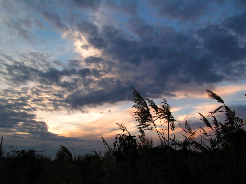 coucher014