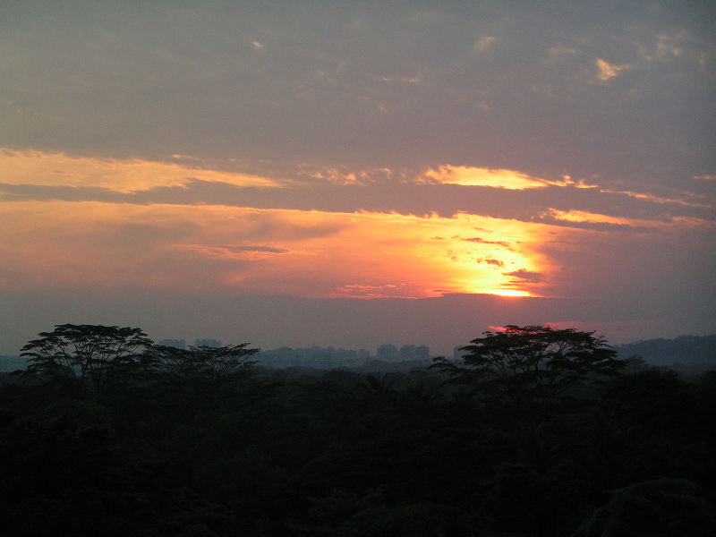 pict0382