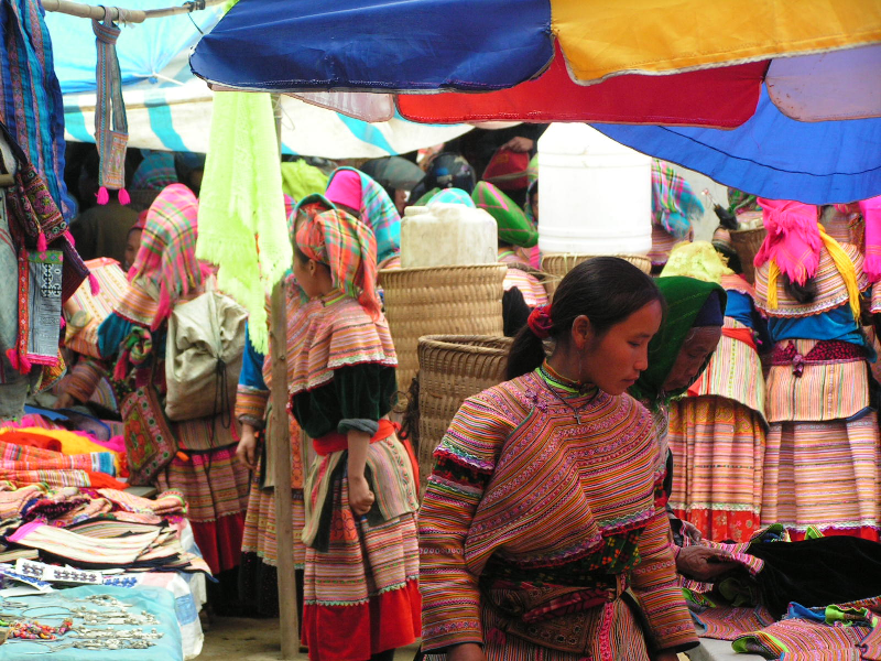 bac ha 04