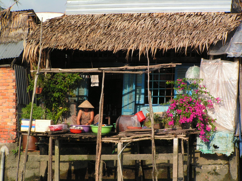 mekong delta 02