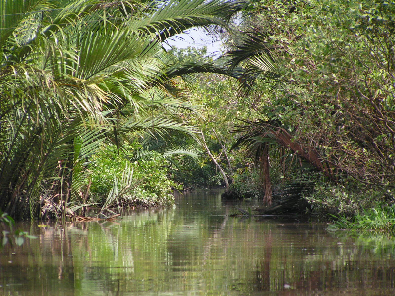 mekong delta 14